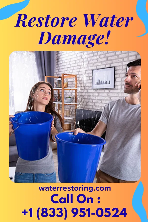 water restoration Patriot Water Damage Masters Gore