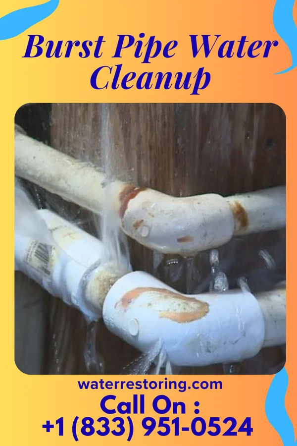Burst Pipe Water Cleanup in Gore, OK