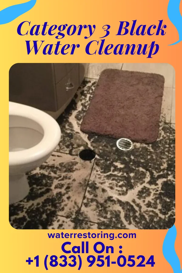 Category 3 Black Water Cleanup in Gore, OK